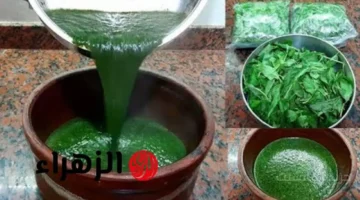 عادة خطيرة في مطبخك.. لهذا السبب الصحي يجب التوقف عن إعادة تسخين الملوخية 1